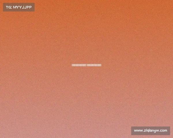 西玩电子竞技网络会所 西玩网络科技有限公司